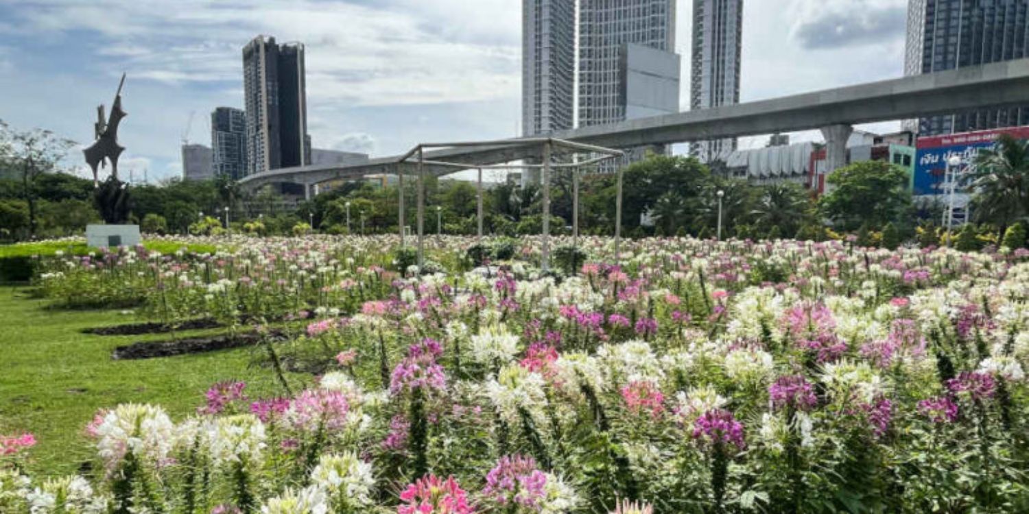 Chatuchak Park