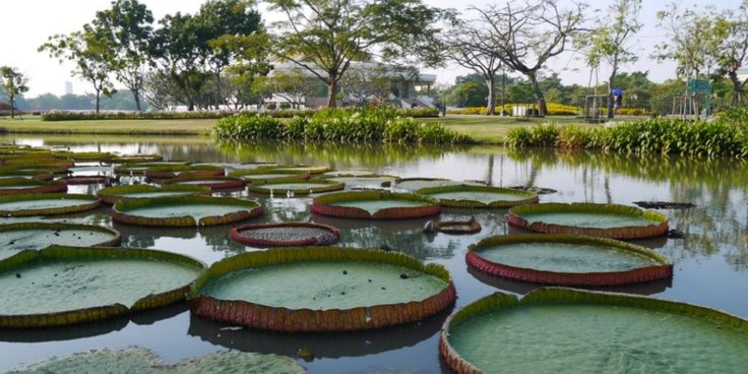 Suan Luang Rama IX Park