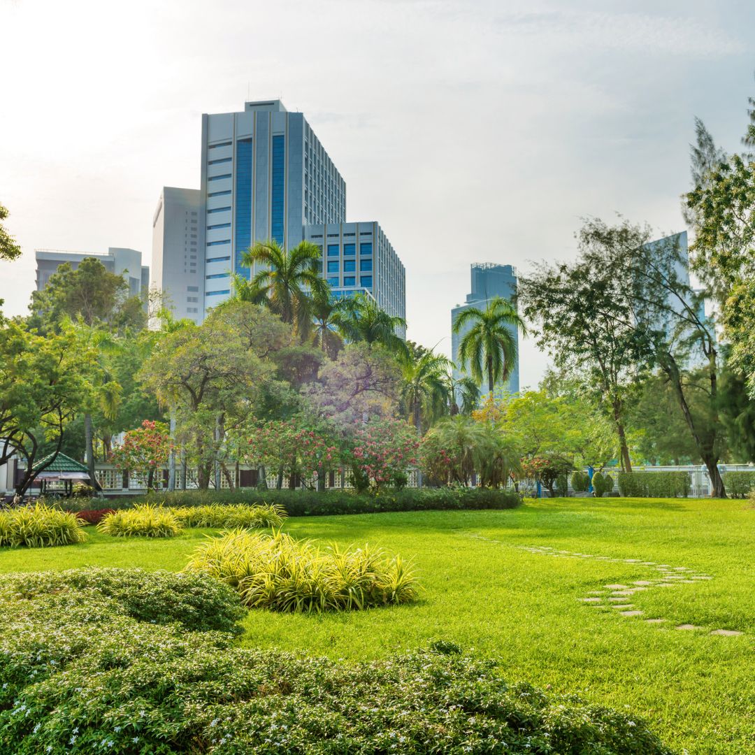 Best Parks and Green Spaces in Bangkok for a Peaceful Escape